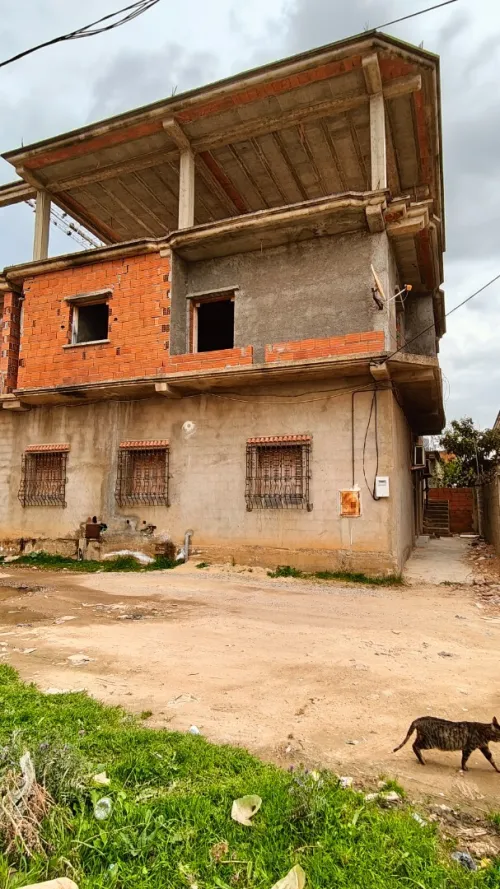 Vente Villa El Tarf Ain el assel