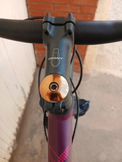Velo Giant friend zite