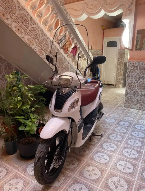 Sim S 2023