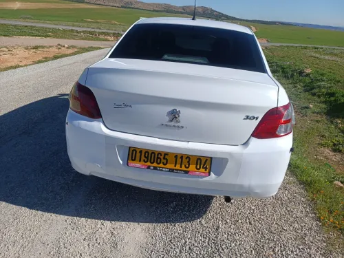 Peujeot Peujeot 2013 