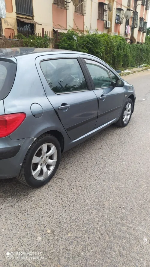 Peugeot 307 2007 