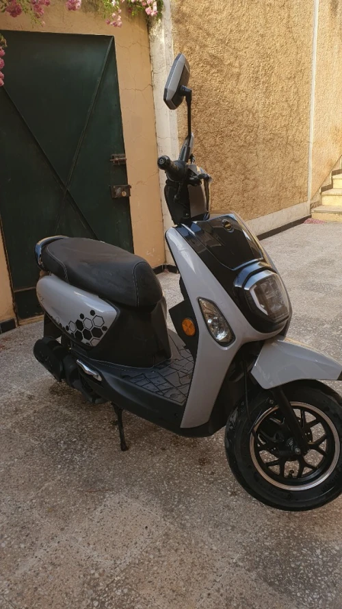 Vms Estate X 2025