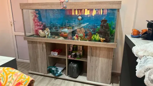 Chaise pour salle d'attente + Tapis + aquarium + 3 tables gigogne