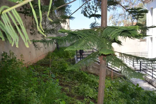 Vente Villa Skikda Skikda