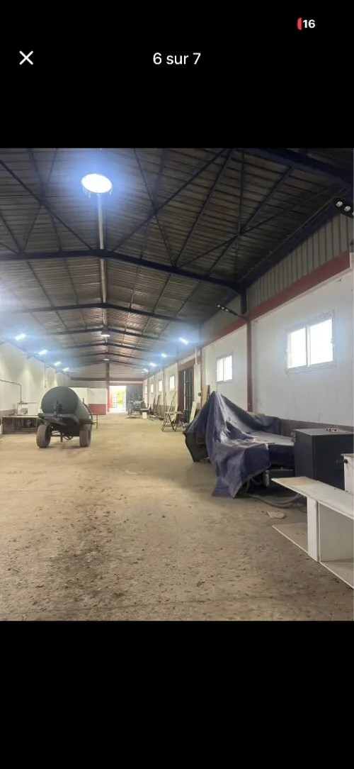 Location Hangar - Usine Blida Beni tamou