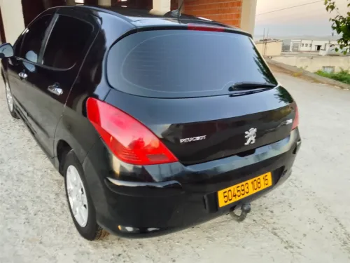 Peugeot 308 2008 Platinum 