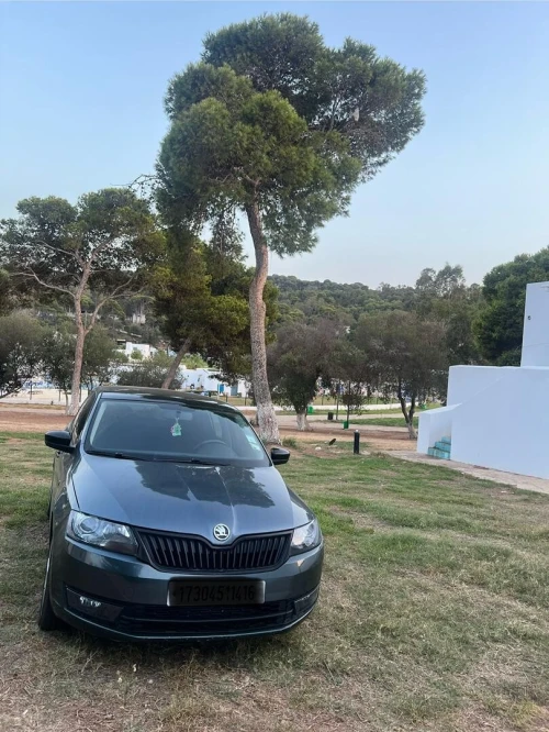 Skoda Rapid Spaceback 2014 Style