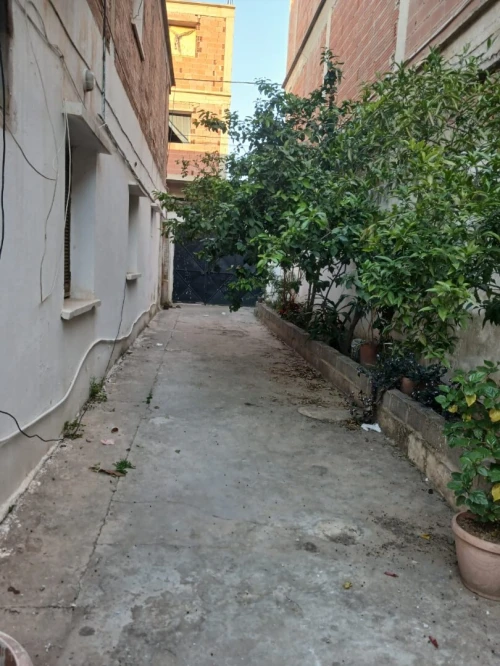 Location Appartement F3 Blida Beni tamou