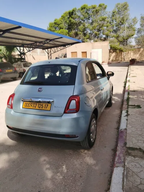 Fiat 500 2025 Cult MIB