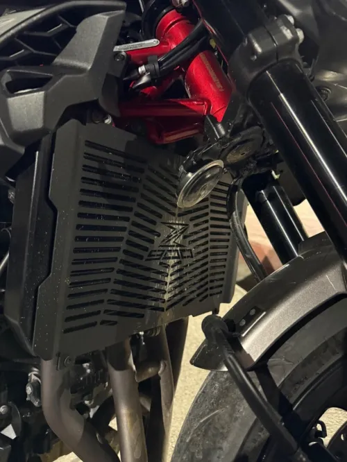 Kawasaki Z900 2025