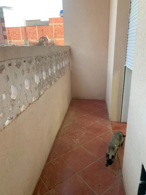 Vente Villa Tiaret Tiaret
