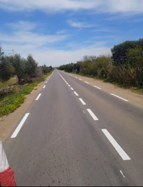 Travaux de signalisation horizontale et verticale traçage et marquag des routee du route