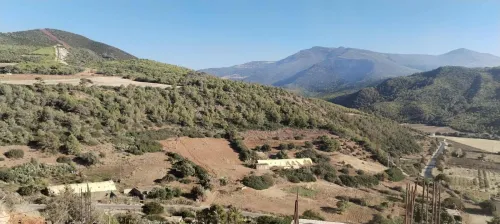 Vente Terrain Chlef Sidi abderrahmane