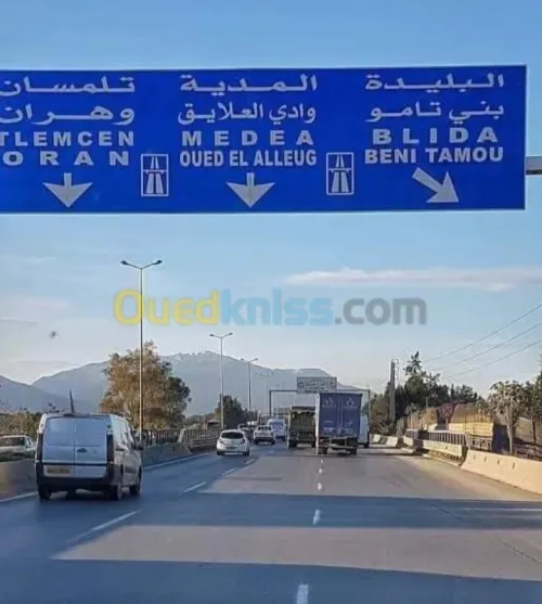 Vente Terrain Blida Beni tamou