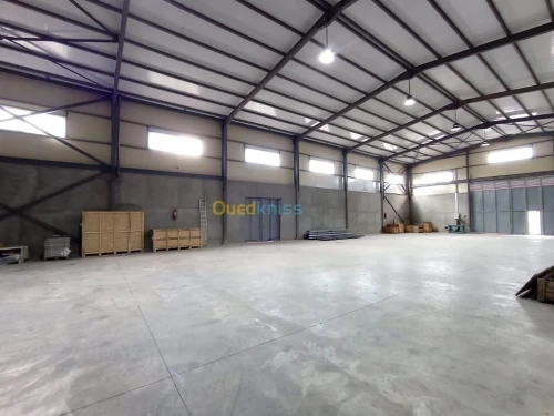 Location Hangar - Usine Blida Meftah