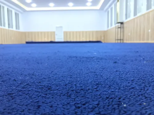 Moquette pour hôtel et salle de conférence 