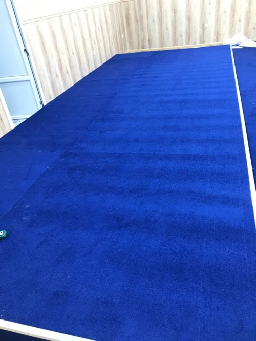 Moquette pour hôtel et salle de conférence 