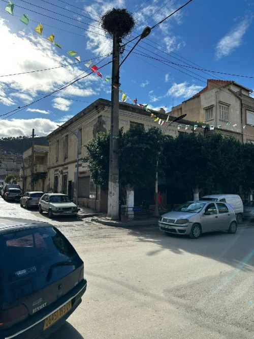 Vente Villa Blida El affroun
