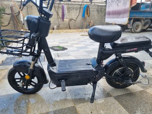 scoozer scoozer 2024