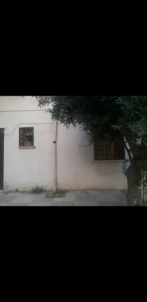 Vente Local Tlemcen Sabra