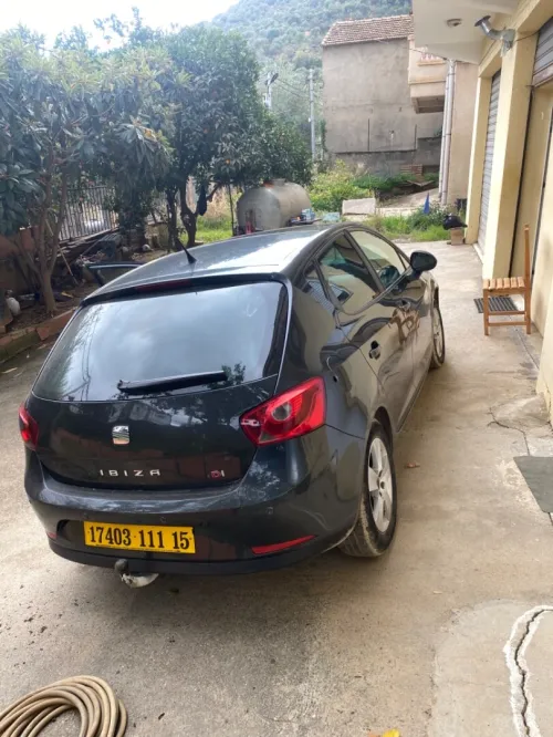 Seat Ibiza 2011 Loca