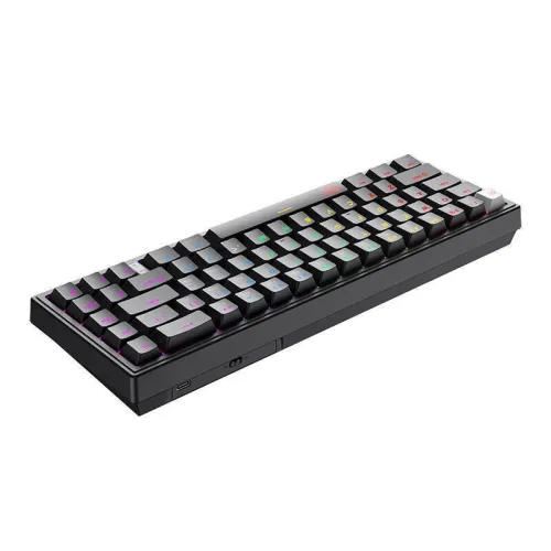 CLAVIER GAMING MÉCANIQUE HAVIT KB874L - RGB Backlit, Red Switches, 67 Keys