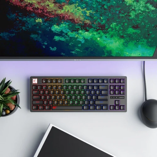 CLAVIER GAMING MÉCANIQUE HAVIT KB892L - RGB Backlit, Blue Switches, 87 Keys