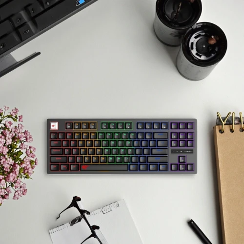 CLAVIER GAMING MÉCANIQUE HAVIT KB892L - RGB Backlit, Blue Switches, 87 Keys