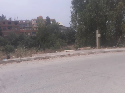 Vente bien immobilier Blida Bouarfa