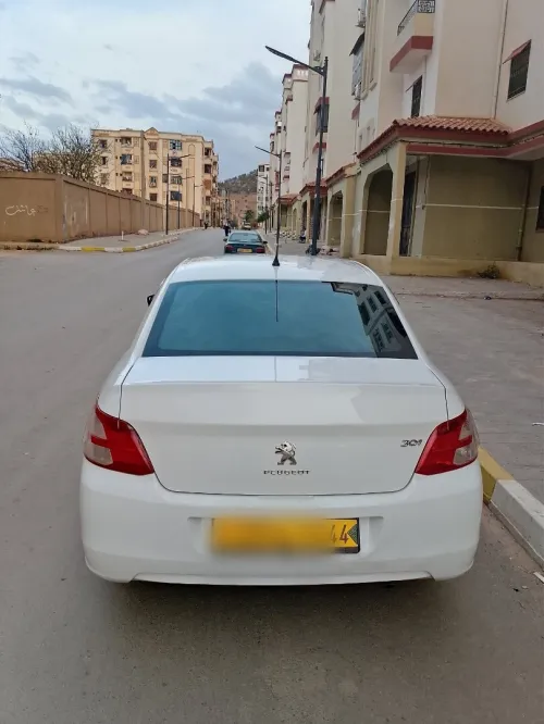 Baic 301 2013 2013