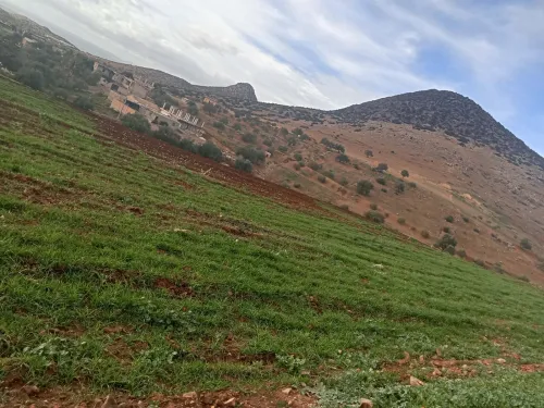 Vente Bouira Ahl el ksar