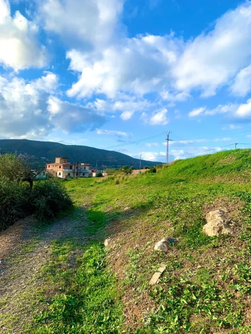 Vente Terrain Boumerdès Bouzegza keddara