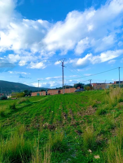 Vente Terrain Boumerdès Bouzegza keddara