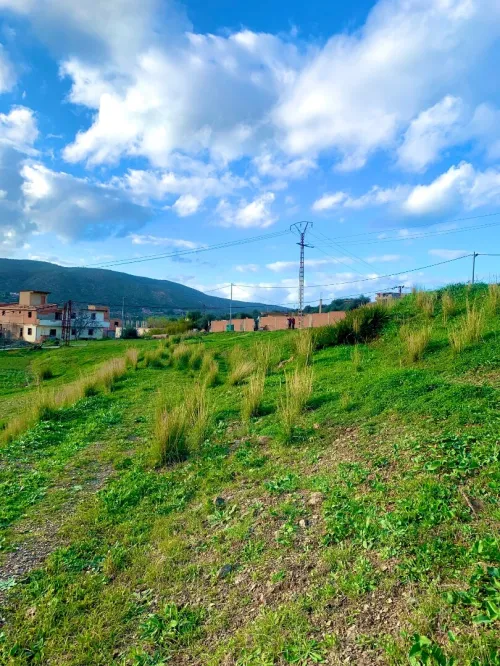 Vente Terrain Boumerdès Bouzegza keddara