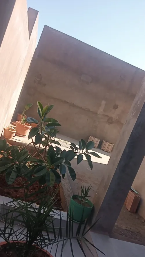Location Villa Tlemcen Mansourah