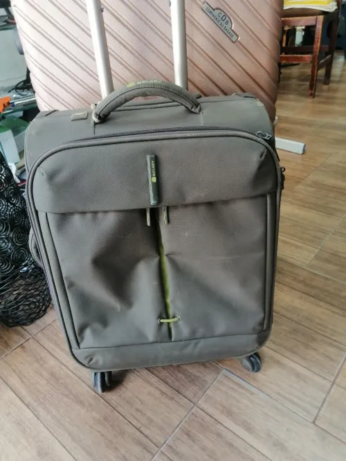 valise Delsey