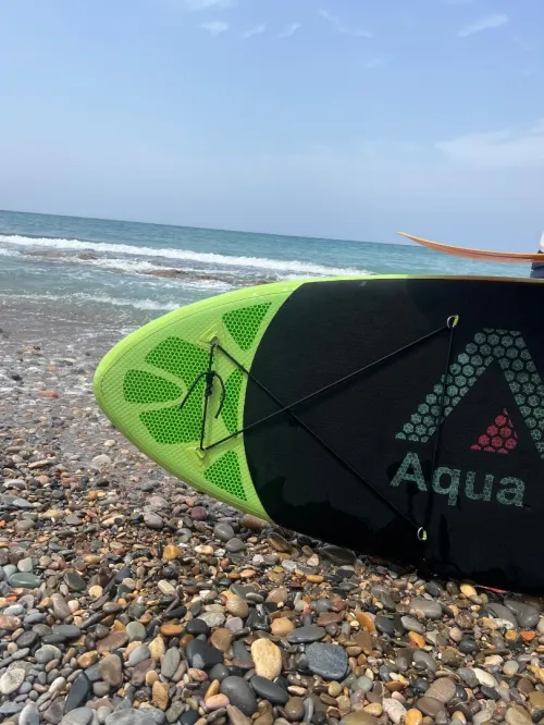 Paddle