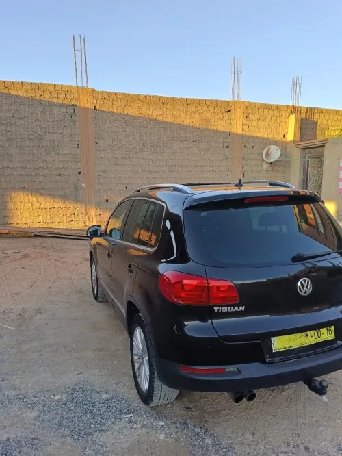 Volkswagen Tiguan 2015 Cup