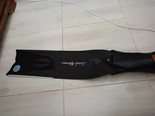 Les palmes C4 carbon