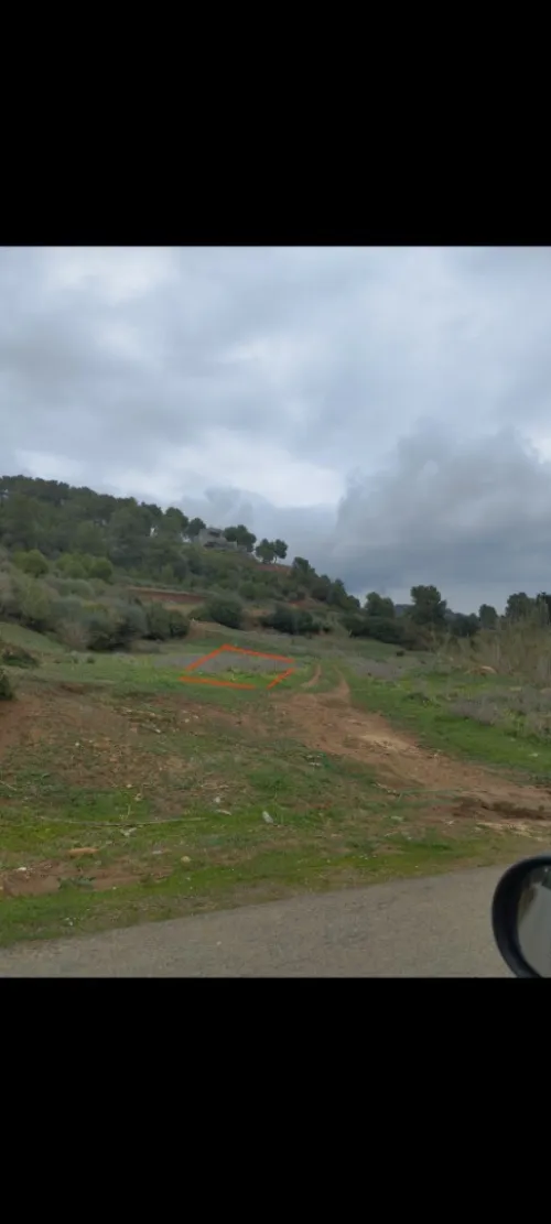 Vente Terrain Tipaza Cherchell