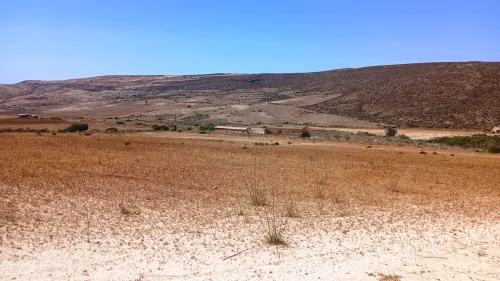 Vente Terrain Agricole Aïn Témouchent Bou zedjar