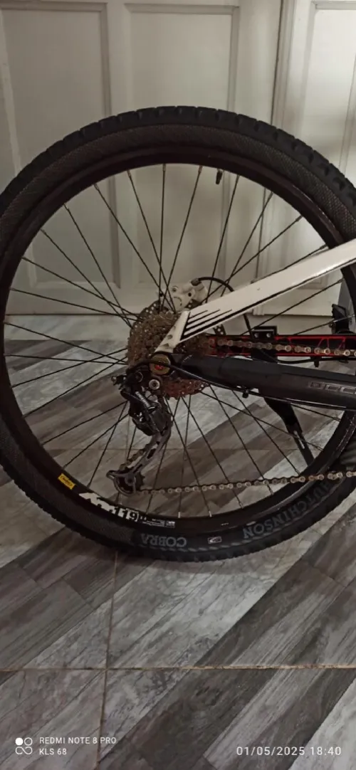 Orbea occam H 30