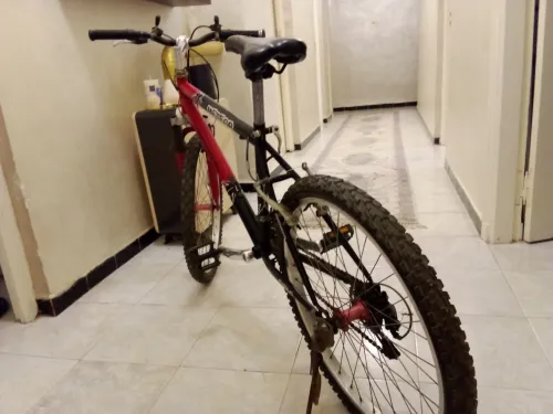 Vend vélo bien entretenu
