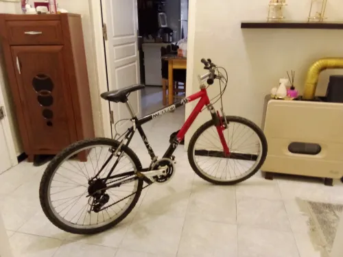 Vend vélo bien entretenu