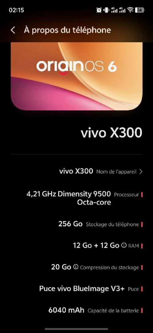 Vivo X300