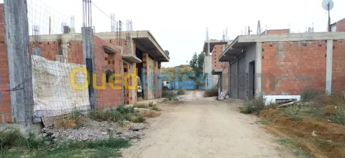 Vente Terrain Blida Meftah