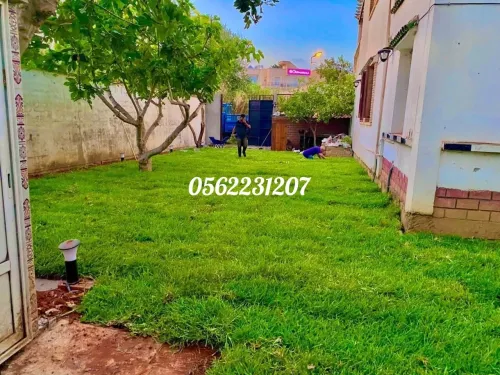 Béton imprimé et Gazon naturel 0562231207