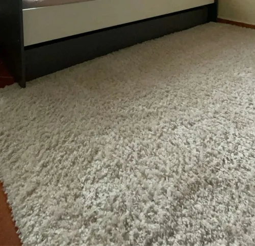 Tapis 
