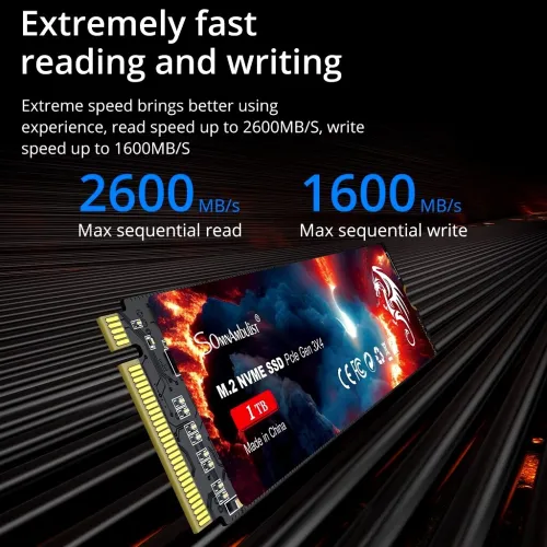 DISQUE SSD SOMNAMBULIST 128GB NVME GEN3 READ 2.6GB/SEC WRITE 1.6GB/SEC
