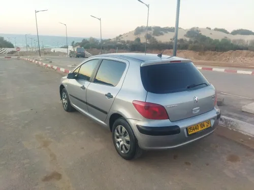 Peugeot 307 2004 XT